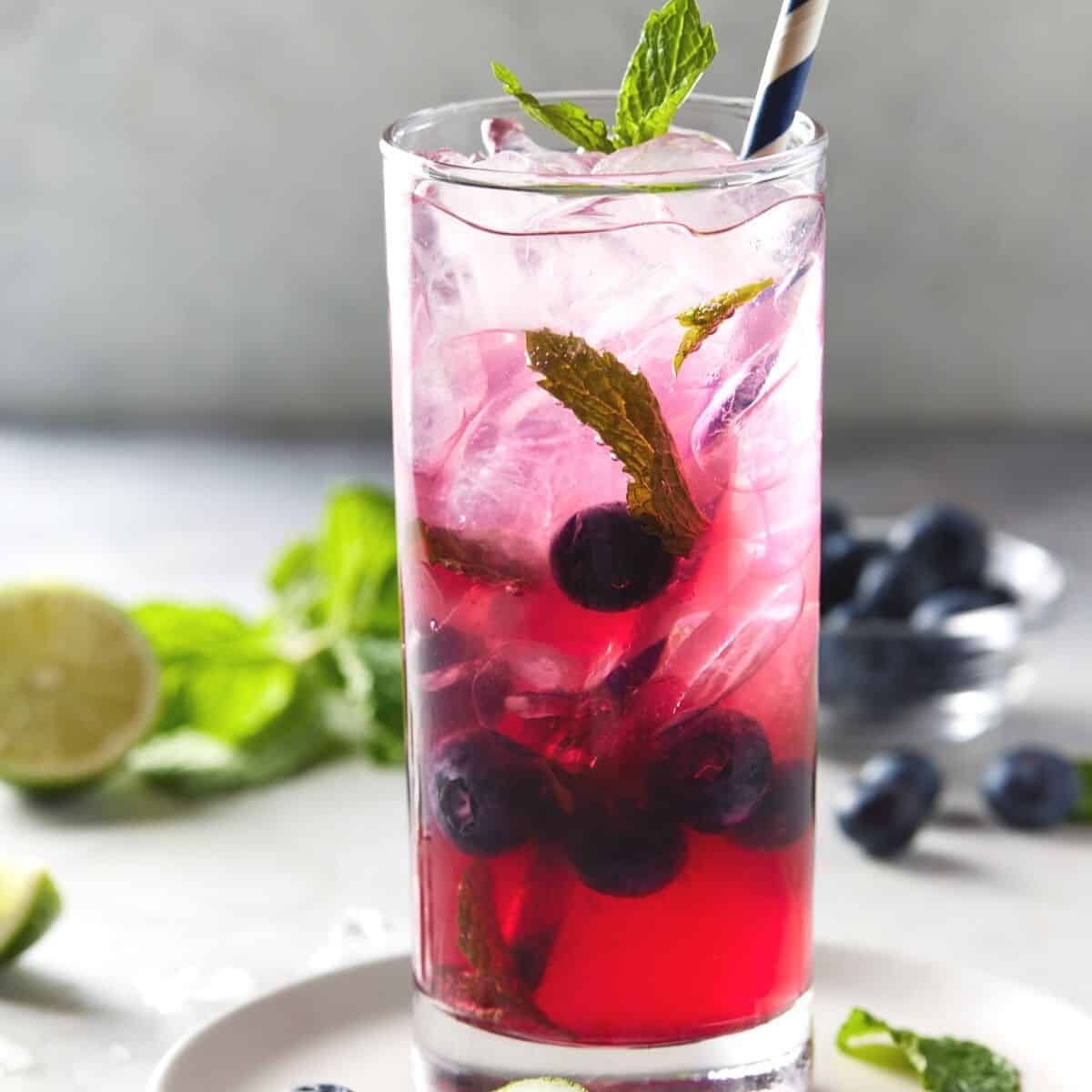 Blueberry Mojito